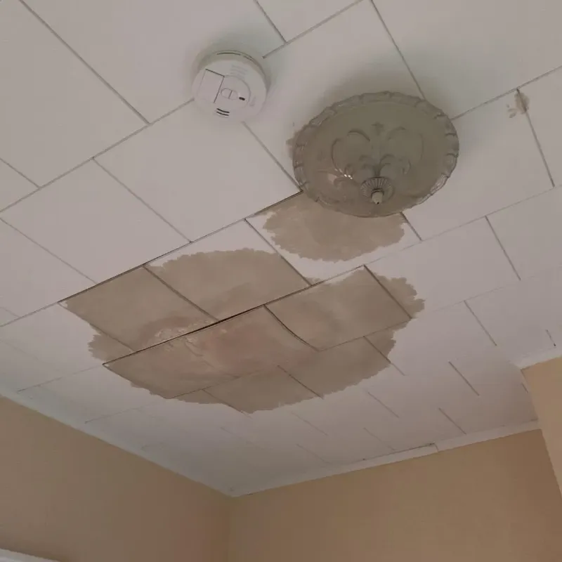 Ceiling Water Damage Repair in Bedminster, PA