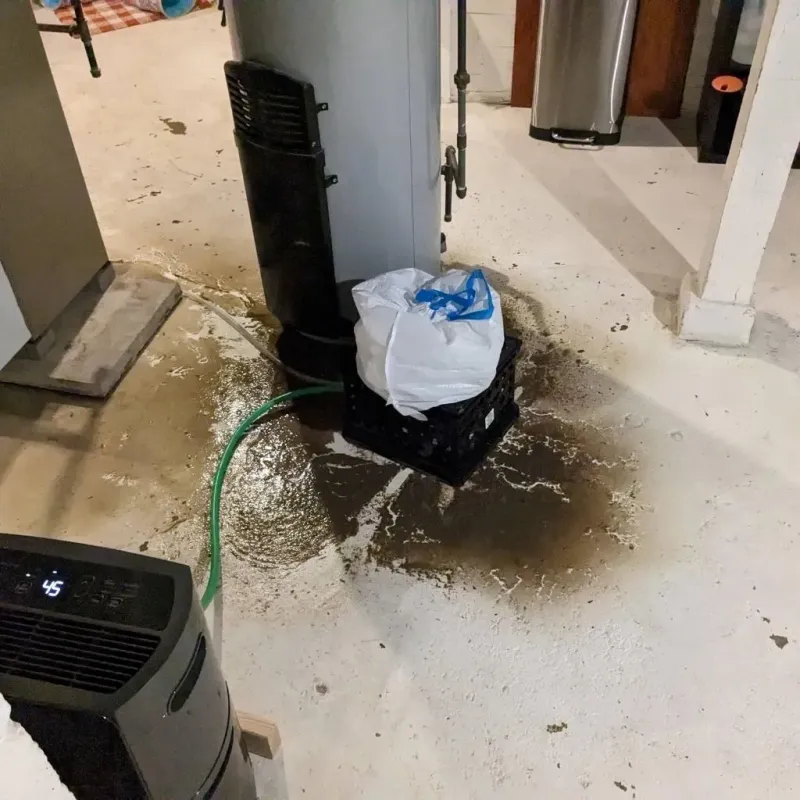 Sewage Backup Cleanup Service in Bedminster, PA